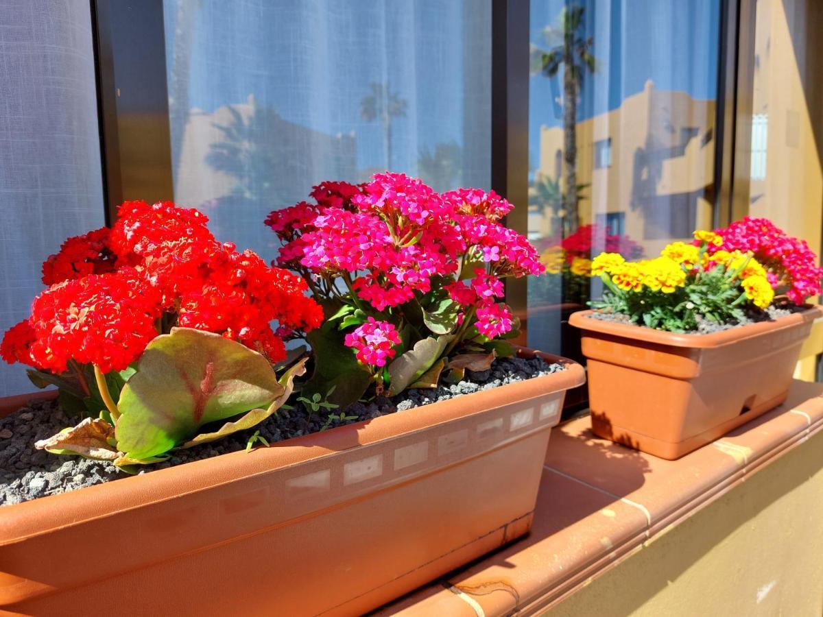 Casa Ledù - Sunny Holiday in Fuerteventura Corralejo Extérieur photo